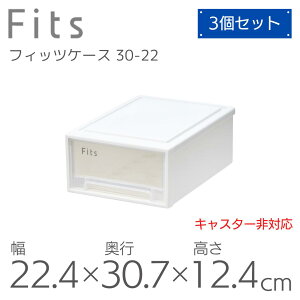 Vn Fits tBbcP[X 30-22WC (:X[) zCgNA [ [P[X ߑP[X [ rO ʏ fXN Vv o X^bLO  mF₷ 