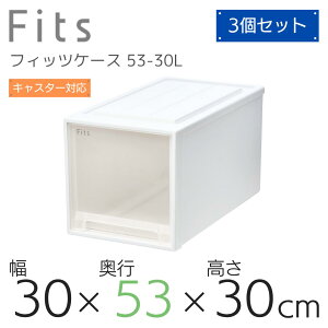  Vn Fits tBbcP[X 53-30LWC (:N[[bgL-30) zCgNA [ [P[X ߑP[X m[  Q N[[bg Vv o X^bLO  m