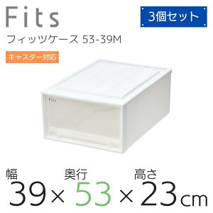 Vn Fits tBbcP[X 53-39MWC (:N[[bgM-53) zCgNA [ [P[X ߑP[X m[  Q N[[bg Vv o X^bLO  mF