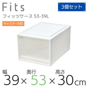 Vn Fits tBbcP[X 53-39LWC (:N[[bgL-53) zCgNA [ [P[X ߑP[X m[  Q N[[bg Vv o X^bLO  mF