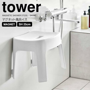  R }OlbgCCX ^[ SH25 zCg tower oX`FA ֎q  25cm ₷ qI ₷   kh~ Jrh~ |₷ 􂢂₷ 