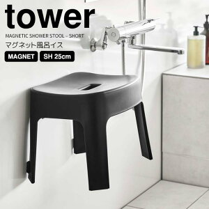 y|Cg5{z R tower }OlbgCCX ^[ SH25 ubN oX`FA ֎q   ₷ qI  25cm  |₷ ǖʎ[ [ k