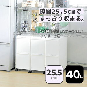  g썑HƏ ʈoXe[V Ch2i 25.5cm 40L zCg BW-2 ʂݔ c^  ֗  lC [ 1l炵 Lb` ʏ h[ ybg{g pg