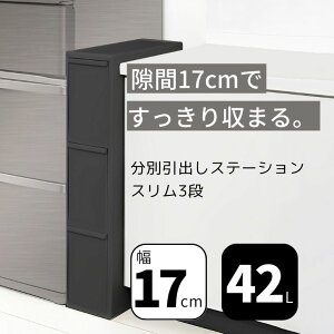  g썑HƏ like-it ʈoXe[V BS-3 X3i ubN  42L 17cm ʂݔ c^  ֗  lC [ 1l炵 Lb` ʏ h[ ybg{g 