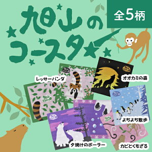 yRzH[IWiIR̃R[X^[iʁES5j