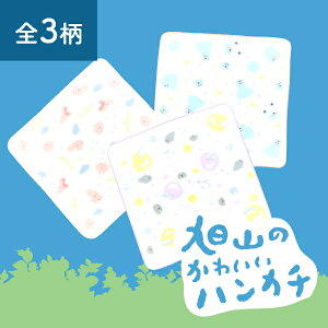 yRzH[IWiIR̂킢K[[nJ`