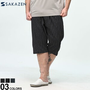 SAKAZEN TJ[ XeeR ʋC Xgb` 100 k OJ   傫TCY Y A`FbN ubN u[ 3L 4L