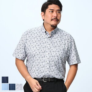 B��T CLUB (�r�[�A���h�e�B�[�N���u) �X�g���b�` ���� ���̎q ���� �{�^���_�E�� ���� �V���c EXBT85 �傫���T�C�Y �����Y �g�b�v�X �V���c �|���V���c