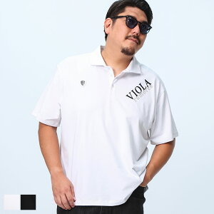 VIOLA rumore (BI[) Xgb` Xeb`zF ^bNvg  |Vc Y43304 傫TCY Y gbvX | St X|[c