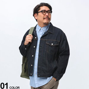 EDWIN (GhEB) ~hIX 100 t{^ fjWPbg ET11158003L5L 傫TCY Y AE^[ GW u]