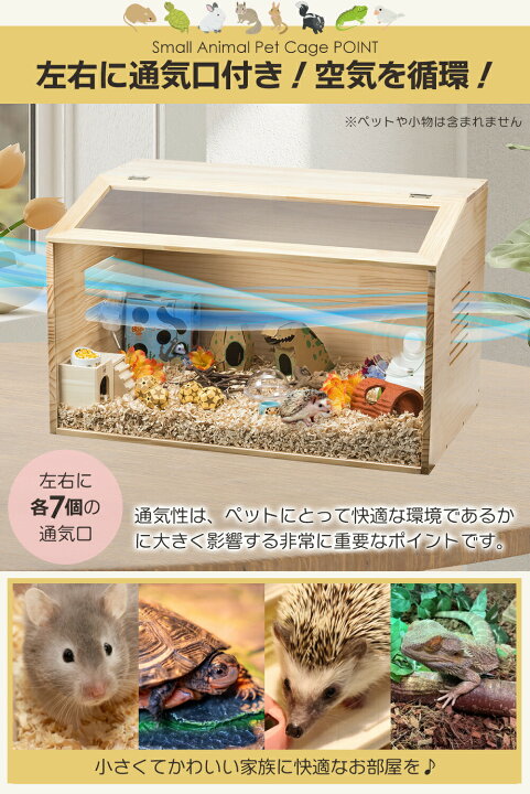 楽天市場】【☆ラスト24時間 10%cp配布中!】【組立カンタン】 爬虫類 