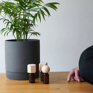 hinokiA}Lbv Zp`  lp fBt[U[ A} A}es[ F Ђ̂ 킢 Ebh GbZVIC dsv ΂gȂ