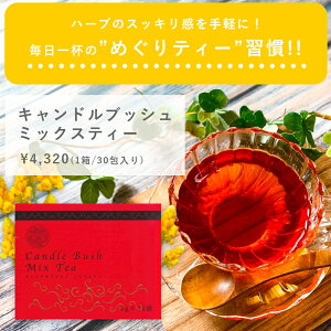 LhubV ~bNXeB30  _CGbg _CGbgT|[g  _CGbgeB[ diet tea  n[ueB[ LhubV ngM ق ߂  e