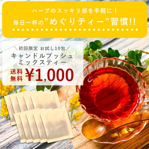 y肨ЂƂl2܂Łz1,000~|bLI LhubV ~bNXeB10(5×2)  u _CGbg@_CGbg  _CGbgeB[ diet tea 