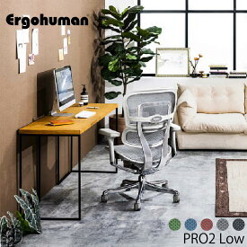 [正規取扱店] Ergohuman PRO2 LOW エルゴヒューマン プロ　ロータイプ ヘッドレスト調節 ランバーサポート 4Dアームレスト メッシュ サポート リクライニング 座面奥行 座面高さ 座面前傾チルト 関家具 送料無料 オフィス 業務用 リモートワーク