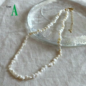 Wp[ Iׂ p[ ^ lbNX y y ̓  V[g ANZT[ WG[ lC s Y  uh  v[g fB[X l JWA ؍