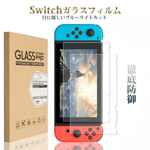 Nintendo Switch lite Switch2 u[CgJbg t ی tB CVXCb`2 KX jeh[ XCb` Cg KXtB XN[veN^[ u[CgtB^[ 