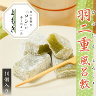 羽二重風呂敷 よもぎ 10個入り 羽二重餅 【ポスト投函可能】 1000円ポッキリ 餅 お餅 和菓子 スイーツ お…