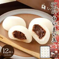 羽二重餅 チョコ 入り 白いまい玉 12個入り チョコレート マシュマロ 【ポスト投函可能】 1000円ポッキリ…