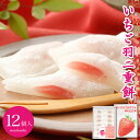 羽二重餅 いちご 12個入り 【ポスト投函可能】 1000円ポッキリ 餅 お餅 和菓子 スイーツ お菓子 福井 銘菓 北陸 ギフ…