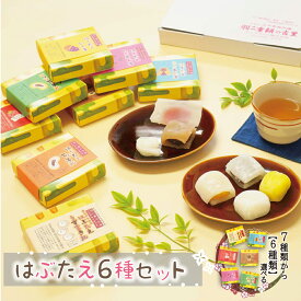 羽二重餅 はぶたえ 選べる 6個セット 小箱 食べきりサイズ 【ポスト投函可能】 餅 お餅 和菓子 スイーツ お菓子 福井 銘菓 北陸 ギフト 贈り物 お土産 お供え 内祝い お返し 母の日 父の日 バレンタインデー お中元 敬老の日 お歳暮 お年賀
