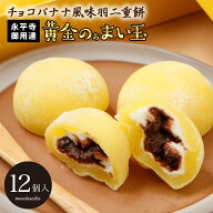 羽二重餅 チョコバナナ風味 黄金のぉまい玉 12個入り チョコ マシュマロ 【ポスト投函可能】 1000円ポッ…