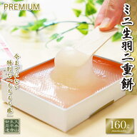 生羽二重餅 ノーマル ミニ 160g 羽二重餅 ヒルナンデスで紹介！ 【ポスト投函可能】 1000円ポッキリ 餅 …