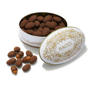 yzHACCI A}hVR A[h`R[g / hacci nb` ͂ / `R A[h`R `R[g ݂͂ n`~c I / Mtg o^C v[g j a