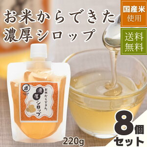 Haccome ĂłZVbv YĎgp sgp Ö AQt[ Oet[ CXVbv Ĉ Ė 220g 8