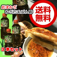 岩津葱ねぎたまぽん酢 500ml×3【ちょっぴりお得な3本セット】岩津葱とたまねぎのポン酢！たまねぎ　ポン…