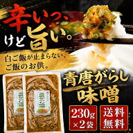 青唐辛子味噌 230g×2個セット メール便 青唐がらし おかず ご飯のお供 お取り寄せ グルメ ごはんのとも …