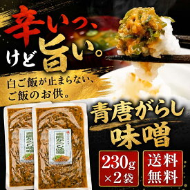 青唐辛子味噌 230g×2個セット メール便 青唐がらし おかず ご飯のお供 お取り寄せ グルメ ごはんのとも 国産 みそ 使用 青唐辛子 味噌 辛いっ けど旨い 夏ギフト おにぎりの具 食欲全開 夏バテ防止 やみつき カレー 隠し味に