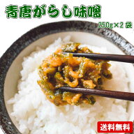 1000円ポッキリ 青唐辛子味噌 250g×2個セット メール便 青唐がらし おかず ご飯のお供 お取り寄せ グル…