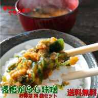 青唐辛子味噌 230g×20　【お得な20個セット】青唐がらし おすそ分けにご飯のお供味噌　ご飯　味噌!青唐…