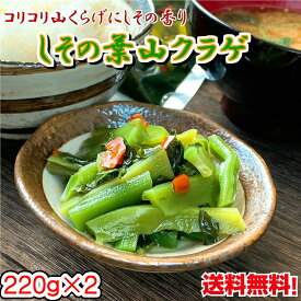 ご飯のお供 しその葉山くらげ 220g×2 送料無料 メール便 やまくらげ しそ つまみ 山クラゲ 土産 道の駅 保存食 レトルト 常温保存 賞味期限 長い 非常食 お取り寄せグルメ 帰省 お土産 手土産 バレンタイン チョコ以外