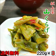 献上菜　山クラゲ 220g×3 ちょっぴりお得な3個セット メール便 ポスト投函 おかず お取り寄せ グルメ や…