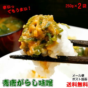 y |Cg10{ m聦Gg[K{z炵X 250g×2Zbg [  т̂ 񂹃O ͂̂Ƃ Y݂gp hq X h ǎ|I  