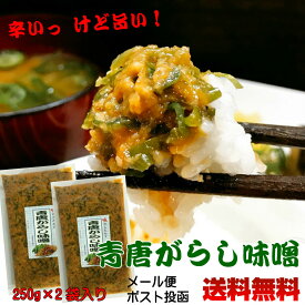 青唐がらし味噌 250g×2個セット【メール便】【お試し】【送料無料】ご飯のお供 お取り寄せグルメ ごはんのとも 国産みそ使用 青唐辛子 味噌 辛いっ 旨い！帰省時に お肉 夏ギフト からいもの好き おにぎりの具、食欲全開 夏バテ防止 やみつき