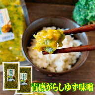 青唐ゆず味噌 220g×2個セット メール便　ご飯のお供お中元 夏ギフト 食品 食べ物 味噌 ご飯　味噌! 青唐…