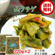 ご飯のお供 献上菜　山クラゲ 220g×2 メール便 おかず 土産 山くらげ ラー油 つまみ 酒の肴 お取り寄せ …
