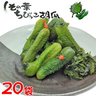 しその葉ちびっこ胡瓜 300g×20 箱買い 大人買い まとめ買い お土産 きゅうり ちびきゅう 小さい胡瓜 ち…