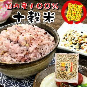 y |Cg10{ m聦Gg[K{z\270gY G 100 gp ۔  Ε  ԕ ҂哤 ҂菬  Ε i΁j yw_fddlz