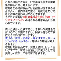 ふりかける塩麹粉末タイプしおこうじ/かんたん使いやすいパウダー/簡単便利/万能調味料/下味付けに/焼き物に使い方いろいろ