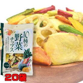 10種の野菜チップス 110g×20袋