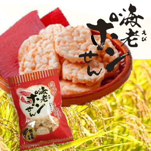 y |Cg10{ m聦Gg[K{z㖼ICV| 50g