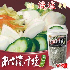 あさ漬け塩 芽かぶ入 250g ×3個セット ポスト投函 浅漬け あさづけ 素 しお 調味料 ご飯 漬物 簡単 便利 胡瓜 きゅうり 野菜