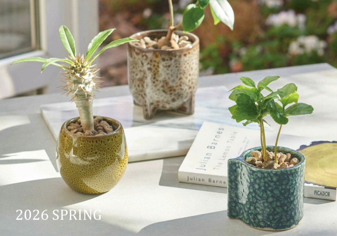 楽天市場 | 植木鉢の専門店 鉢人 - おしゃれな植木鉢をお探しなら 