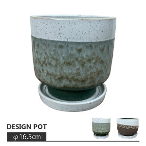 Aؔ  픫 c[gJ[|bg AS006-165 5.5(16.5cm) CeA _ O[ sNuE