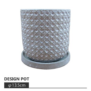 Aؔ  RN[g|bg AS007-135 4.5(13.5cm) / ꌊL 󂯎Mt Zg