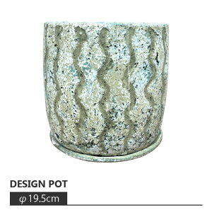 Aؔ  Zg WOUO|bg AS015-155 5(16cm) CeA _ O[